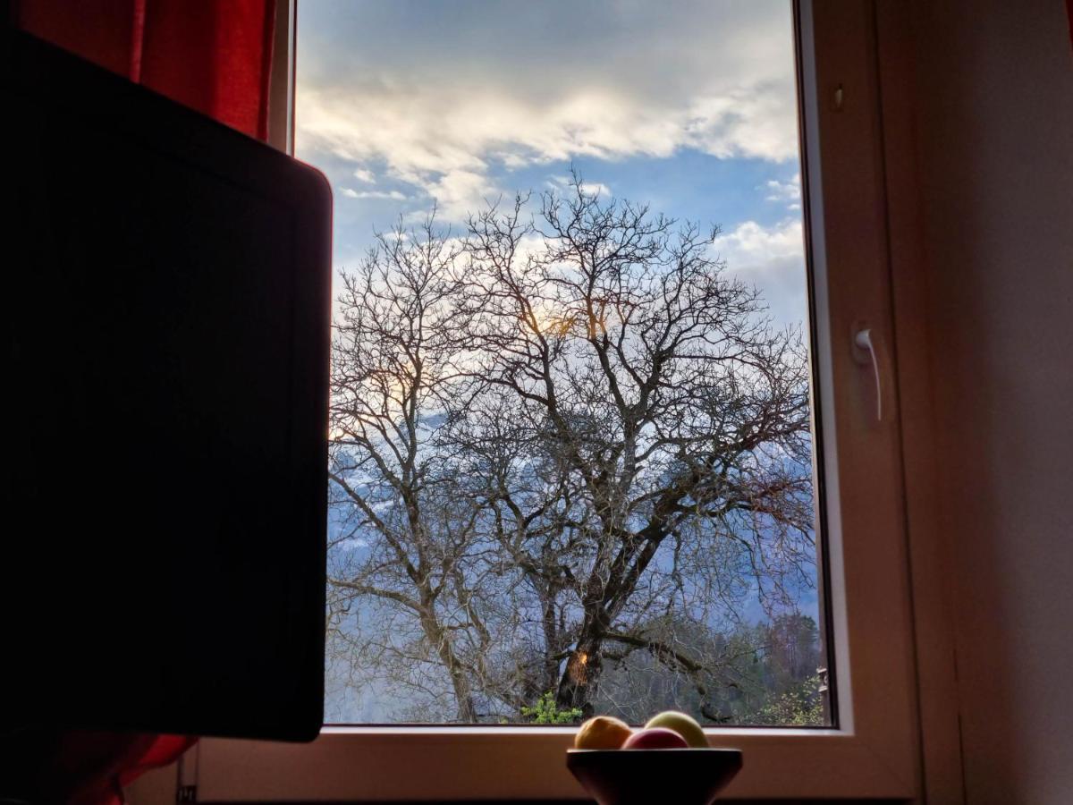 Apartmaji Jakob 1 Бовец Экстерьер фото